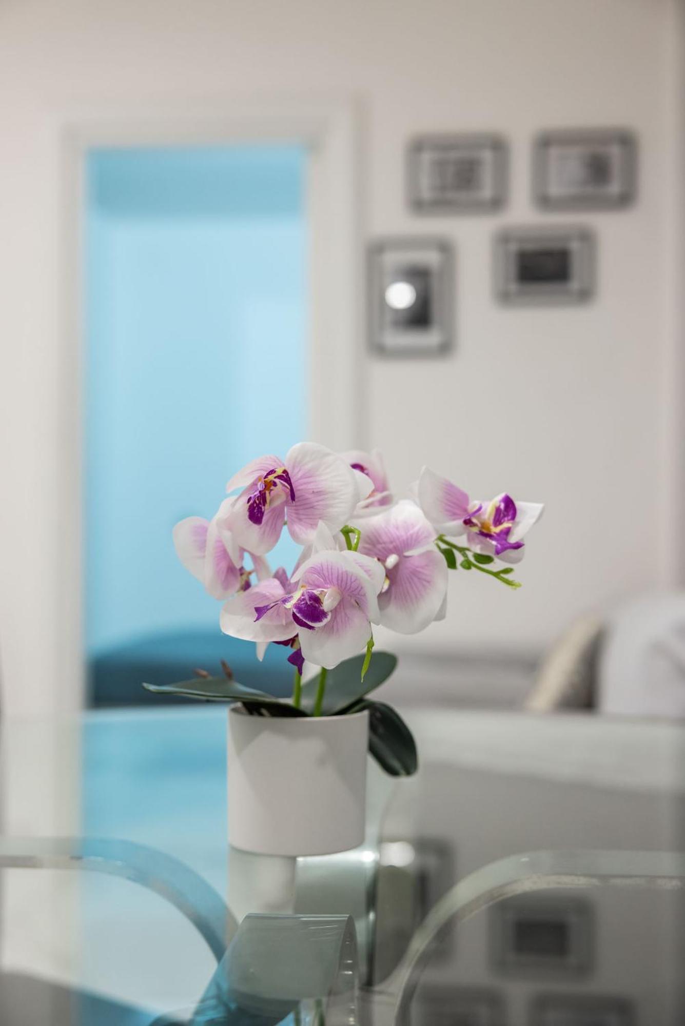 Appartement Chic House *